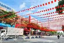A section of Nguyen Hue Street in Cao Lanh ward, Dong Thap province decorated in celebration of the 14th National Party Congress. (Photo: dongthap.gov.vn)