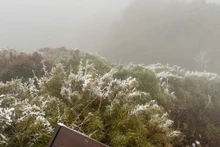 Ice appears, covering Fansipan peak in white. (Photo: NDO)