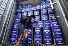 A container truck carrying imported farm produce. Congestions of farm produce and food occurring at several border gates following the application of new food safety decree have been largely resolved. (Photo courtesy of Ministry of Agriculture and Environment)