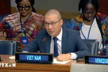 Minister-Counsellor Nguyen Hoang Nguyen, Chargé d’Affaires ad interim of the Permanent Mission of Viet Nam to the UN, addresses the session. (Photo: VNA)