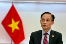 Foreign Minister Le Hoai Trung (Photo: VNA)