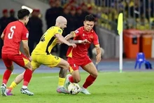 João Figueiredo (yellow) and teammates pull off a commanding performance to win at home. (Photo: VNA)