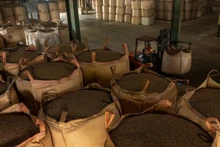 Vietnamese coffee has many opportunities to export to the Thai market. (Photo: NDO)