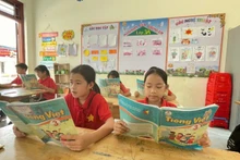 Pupils at Lam Vy Primary School (Thai Nguyen Province) during a class.