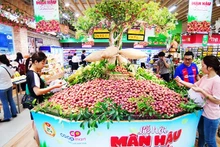 Consumers at the Son La Plum Festival at Saigon Co.op. (Photo: nhandan.vn)