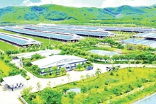 The “Vinamilk Green Farm” eco-farm model according to a sustainable, low-emission agricultural orientation. (Photo: THAI HA)