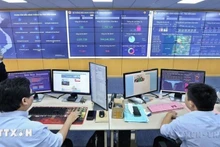 Digital transformation infrastructure, applications of digital technologies, and digital data in a locality (Photo: VNA)