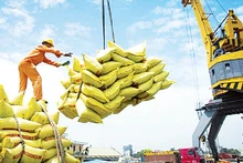 Senegal is a potential market for Viet Nam's rice exports. (Photo: NDO)