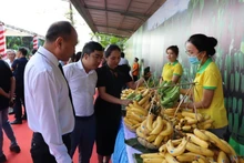 Bananas are among the fruit products with strong export potential to the Japanese market. (Photo: NDO)