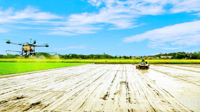 Farmers in Can Tho City apply high-tech solutions in production. (Photo: nhandan.vn)