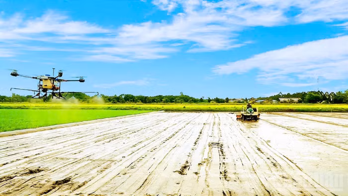Farmers in Can Tho City apply high-tech solutions in production. (Photo: nhandan.vn)