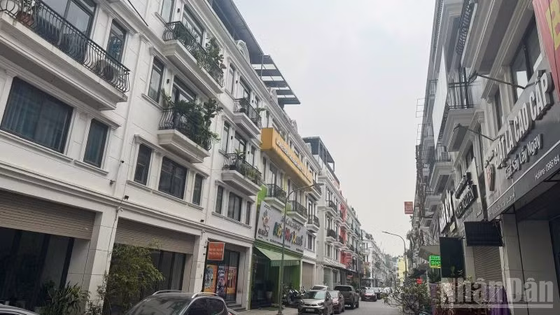 A cluster of adjacent villas in the eastern area of Ha Noi (Photo: HNV)