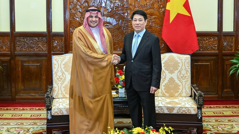 State President Luong Cuong (R) receives Saudi Arabian Ambassador Mohammed Ismaeil A. Dahlwy in Ha Noi on December 31. (Photo: VNA)