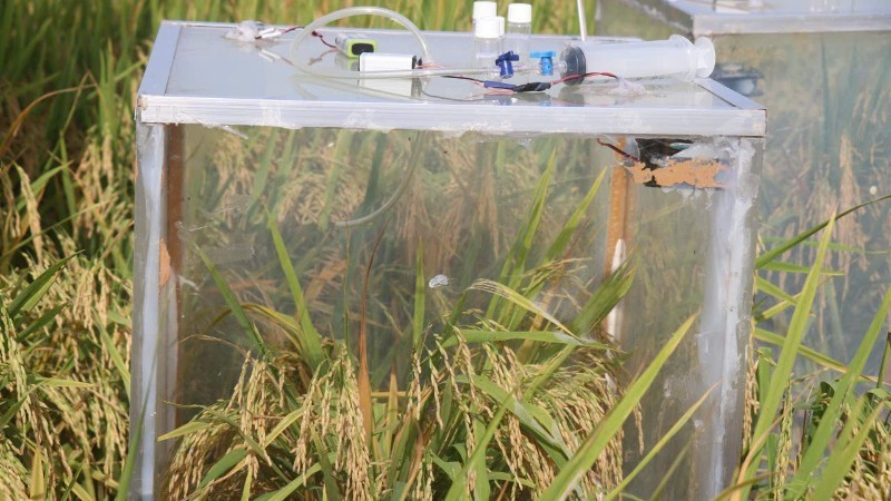 An emission measurement device is being piloted in paddy fields across the Mekong River Delta. (Photo: Anh Nguyet)