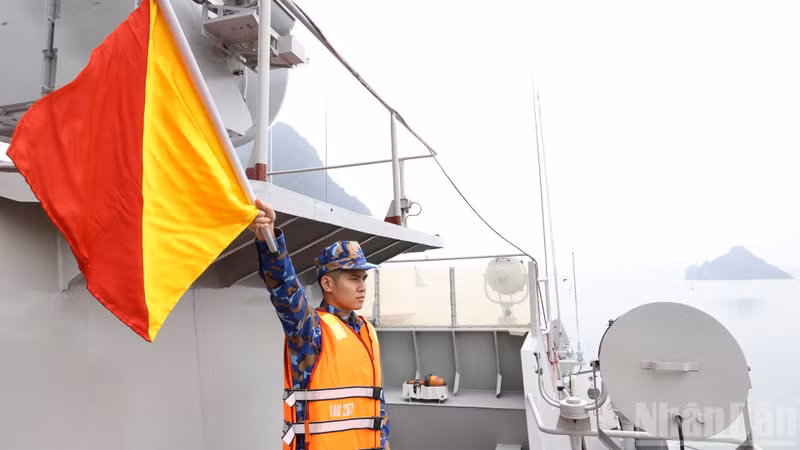 Signal flags used in combat readiness training.