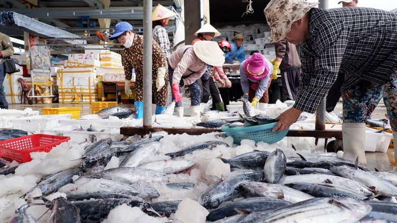 VASEP recommends that, to safeguard the interests of domestic seafood harvesting and aquaculture enterprises against NOAA’s decision, urgent short-term and long-term coordination measures are needed from the government and relevant ministries.