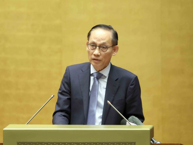 Acting Minister of Foreign Affairs Le Hoai Trung addresses the conference (Photo: VNA)