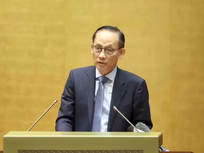 Acting Minister of Foreign Affairs Le Hoai Trung addresses the conference (Photo: VNA)