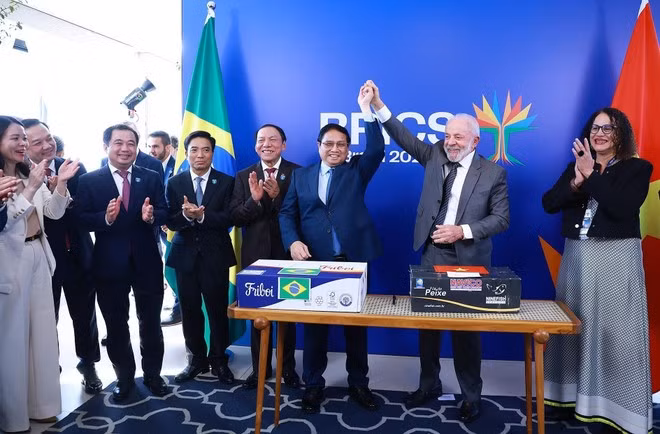The two leaders witness the ceremony to announce the first export shipment of Vietnamese pangasius and tilapia to Brazil and the first export shipment of Brazilian beef to Viet Nam. (Photo: VNA)