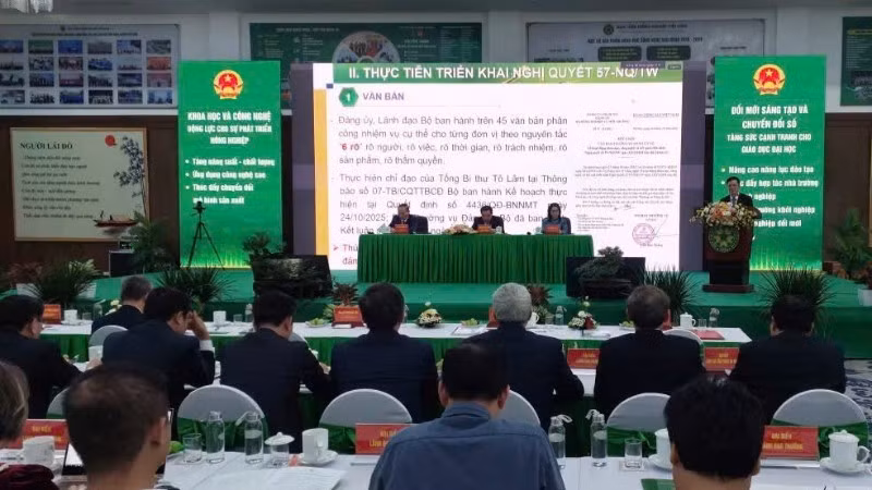 Overview of the conference