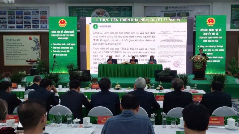 Overview of the conference