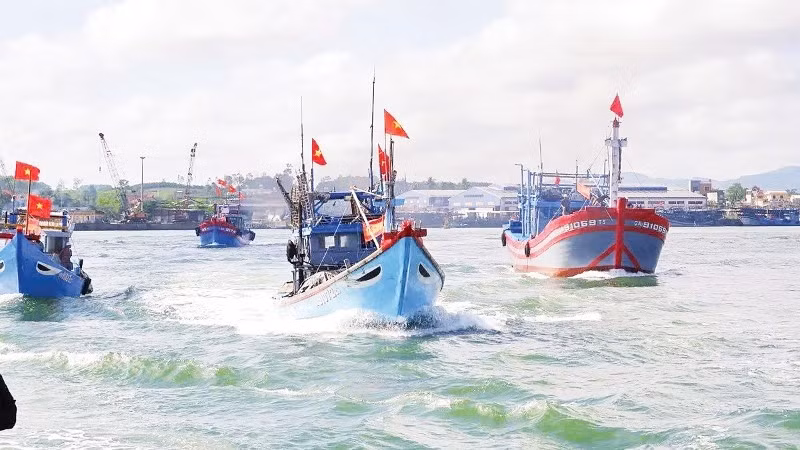The fishing fleet of fishermen from Da Nang heads out to sea to harvest seafood. (Photo: Lan Anh)