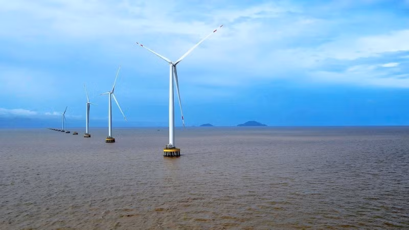 The wind farm has begun generating power along the coastal area of Hiep Thanh Ward, Ca Mau Province.