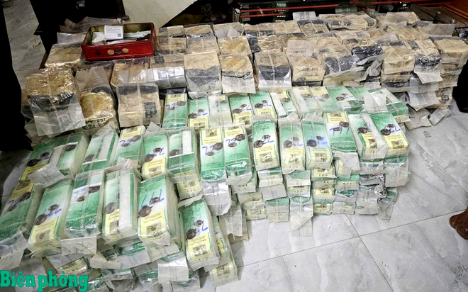 A large quantity of seized items from the crackdown (Photo: bienphong.com.vn)