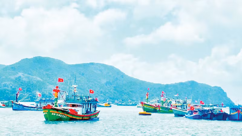 Fishing boats bustle at Con Dao harbour. (Photo: PHAM MONG)