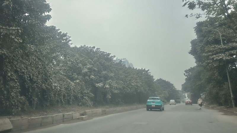 The road along Thang Long Boulevard (the section near Bao Son Paradise) is shrouded in a thick haze of dust. Trees lining the road have turned a chalky white, coated in a fine layer of powder. (Photo: Thuy Linh)