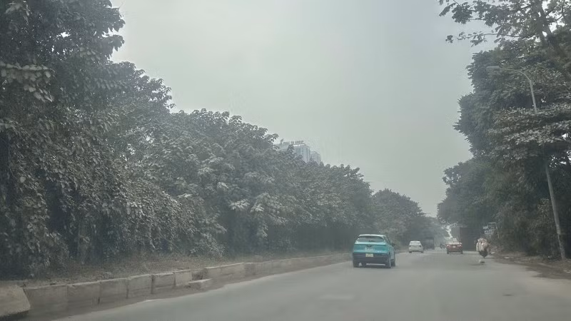 The road along Thang Long Boulevard (the section near Bao Son Paradise) is shrouded in a thick haze of dust. Trees lining the road have turned a chalky white, coated in a fine layer of powder. (Photo: Thuy Linh)