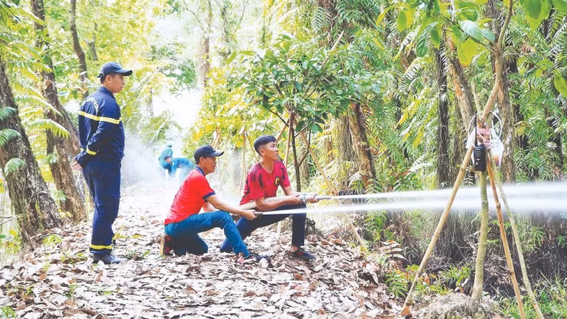 Regular drills involving simulated scenarios help forest management and protection forces in Ca Mau enhance their operational skills for&nbsp;real-life situations.