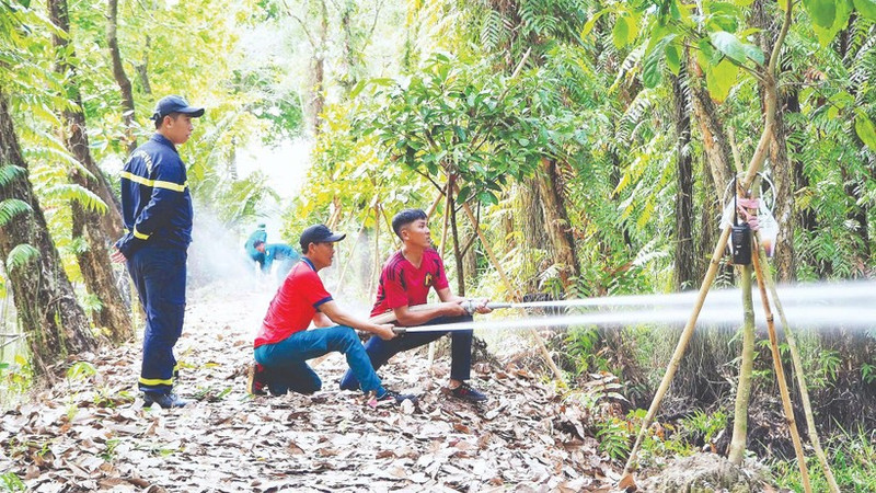 Regular drills involving simulated scenarios help forest management and protection forces in Ca Mau enhance their operational skills for real-life situations.