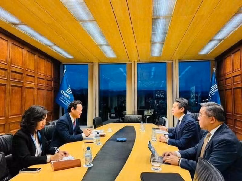 Ambassador Mai Phan Dung, Permanent Representative of Viet Nam to the United Nations and other international organisations in Geneva holds a meeting with representatives from WIPO. (Photo: VNA broadcasts)
