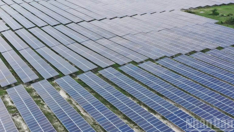 The solar panels at the Phong Phu solar farm in Lam Dong Province. (Photo: Van Duy)
