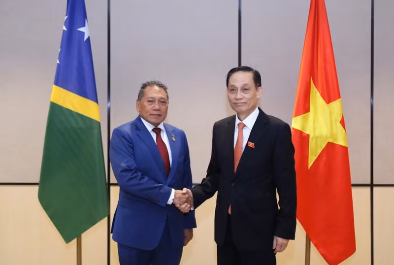 Minister of Foreign Affairs Le Hoai Trung (right) and Solomon Islands Minister for Foreign Afairs and External Trade Peter Shanel Agovaka at their meeting on November 11. (Photo: Ministry of Foreign Affairs)