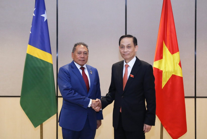 Minister of Foreign Affairs Le Hoai Trung (right) and Solomon Islands Minister for Foreign Afairs and External Trade Peter Shanel Agovaka at their meeting on November 11. (Photo: Ministry of Foreign Affairs)