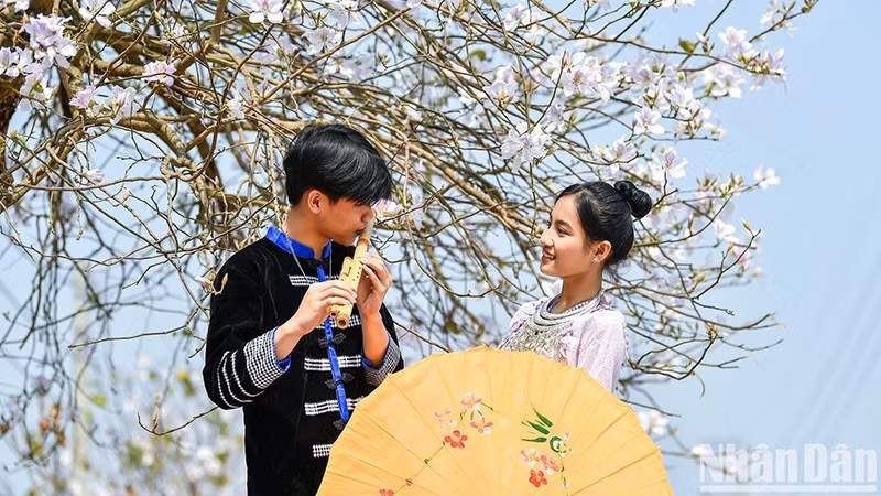 Culture needs a sustainable ecosystem, one that can self-nurture and expand. (Illutrative image/ Photo: THANH DAT)