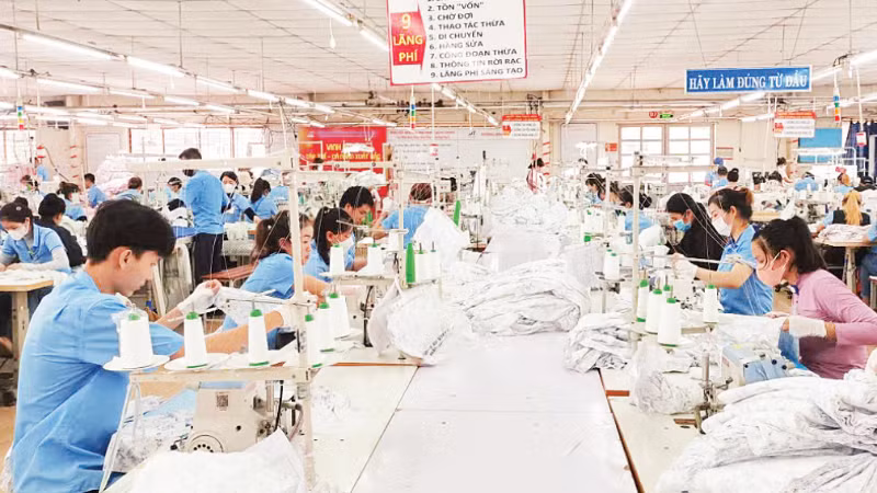 Garment production for export at Hoa Tho Textile and Garment Joint Stock Corporation.