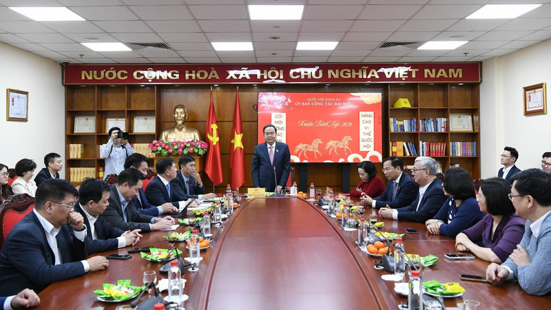 Functions, powers of the NA’s Committee for Deputy Affairs