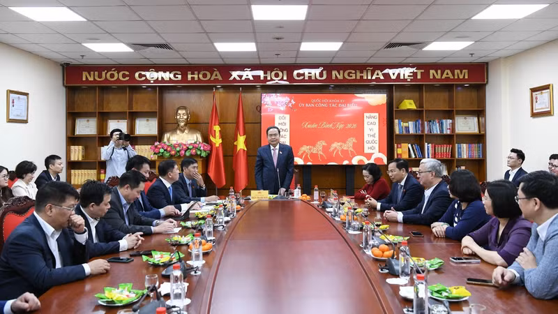 Functions, powers of the NA’s Committee for Deputy Affairs