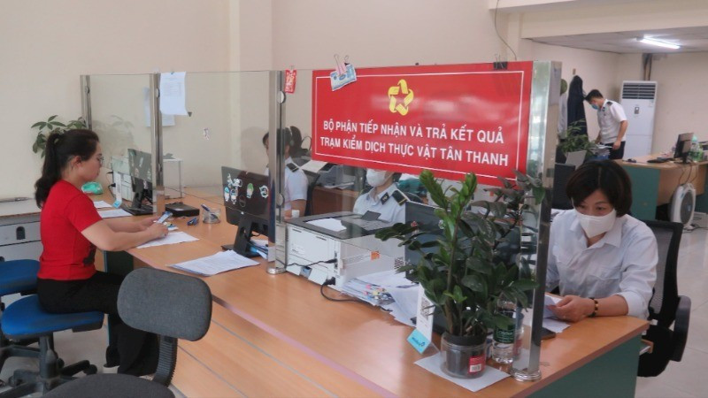 The activity of receiving phytosanitary inspection dossiers for agricultural products before export across the border at Tan Thanh Plant Quarantine Station (Lang Son Province).