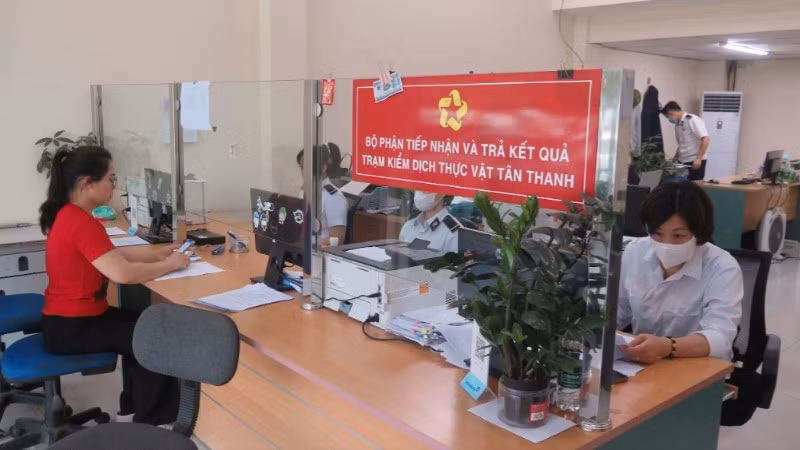 The activity of receiving phytosanitary inspection dossiers for agricultural products before export across the border at Tan Thanh Plant Quarantine Station (Lang Son Province).