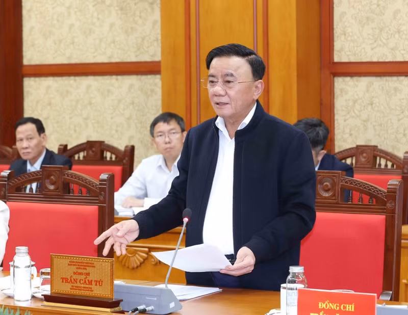 Politburo member and permanent member of the Party Central Committee’s Secretariat Tran Cam Tu. (Photo: VNA)