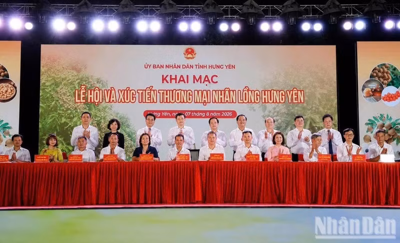 Representatives from departments under the Ministry of Industry and Trade and the Hung Yen Provincial Department of Industry and Trade, alongside KOLs and KOCs, directly participated in a livestream session to promote and consume Hung Yen longans and agricultural products. (Photo: MAI HUYEN)