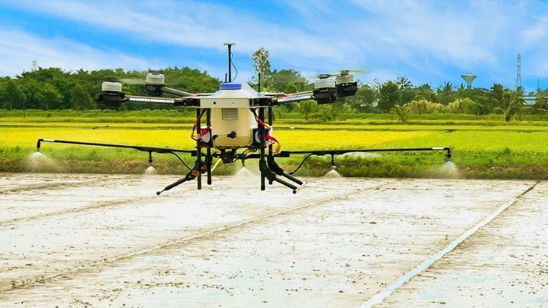 Farmers in Can Tho use drones to spray fertiliser and pesticides on high-quality rice fields.