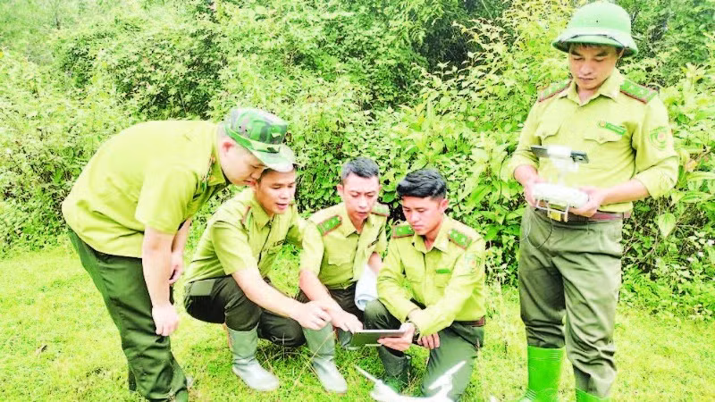 Forest rangers in Son La Province apply technological devices and software in forest management, monitoring, and protection. (Photo: NGOC TUAN)
