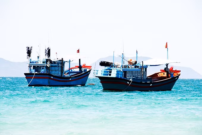 Illustrative photo (Source: baokhanhhoa.vn)