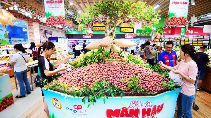 Consumers at the Son La Plum Festival at Saigon Co.op. (Photo: nhandan.vn)