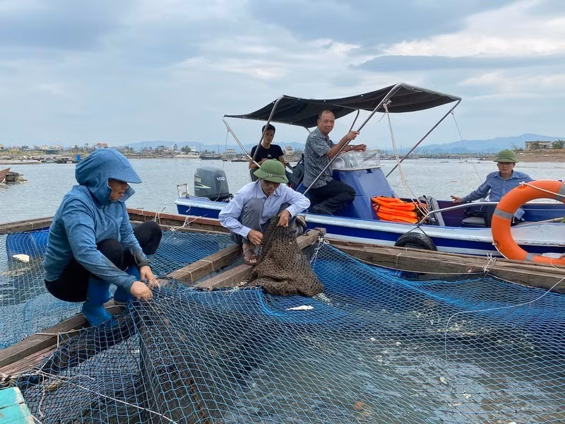 It is essential to strictly control environmental treatment products in aquaculture. (Photo: nhandan.vn)